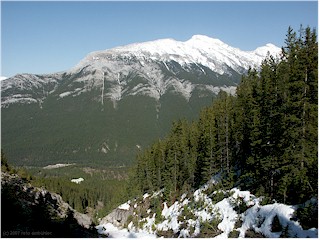 [ cascade mountain near banff ]