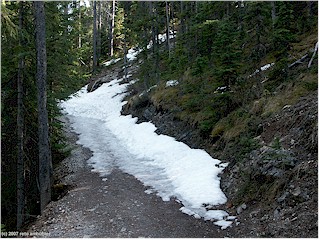 [ snow on the trail to sulphur mountain (elevation 1700 m) ]