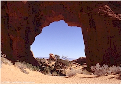 [ pine tree arch im arches national park ]
