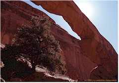 [ wall arch im arches national park ]